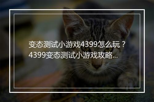 变态测试小游戏4399怎么玩?4399变态测试小游戏攻略有哪些?