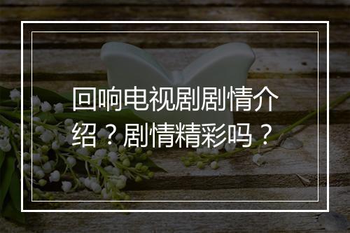 回响电视剧剧情介绍?剧情精彩吗?