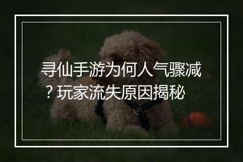 寻仙手游为何人气骤减？玩家流失原因揭秘