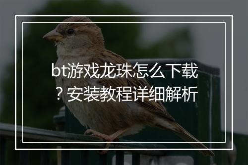 bt游戏龙珠怎么下载?安装教程详细解析