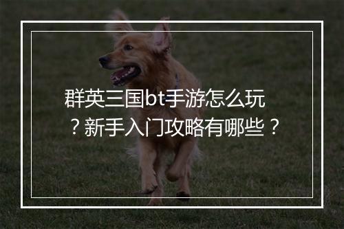 群英三国bt手游怎么玩?新手入门攻略有哪些?