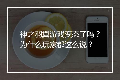 神之羽翼游戏变态了吗?为什么玩家都这么说?