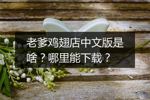 老爹鸡翅店中文版是啥?哪里能下载?