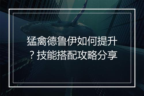 猛禽德鲁伊如何提升?技能搭配攻略分享