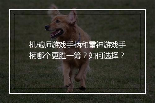 机械师游戏手柄和雷神游戏手柄哪个更胜一筹？如何选择？
