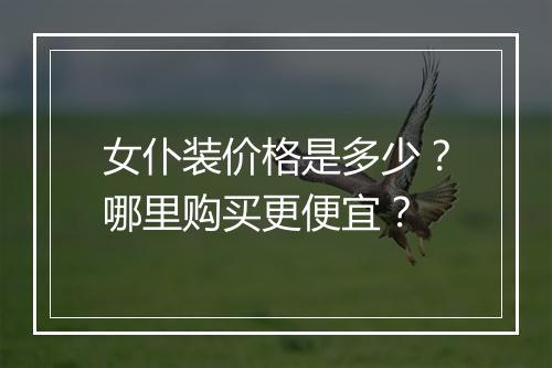 女仆装价格是多少?哪里购买更便宜?