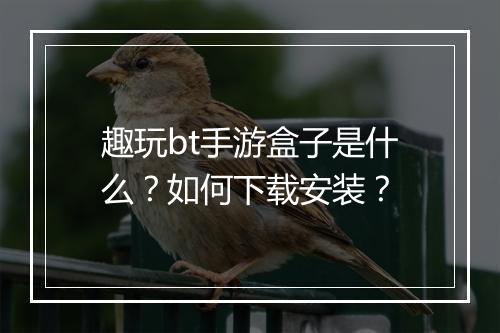 趣玩bt手游盒子是什么?如何下载安装?