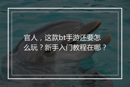 官人,这款bt手游还要怎么玩?新手入门教程在哪?
