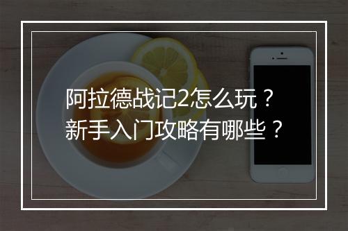阿拉德战记2怎么玩？新手入门攻略有哪些？