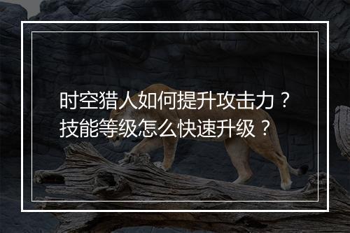 时空猎人如何提升攻击力？技能等级怎么快速升级？
