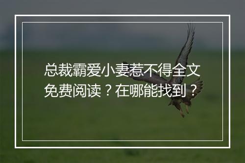总裁霸爱小妻惹不得全文免费阅读?在哪能找到?