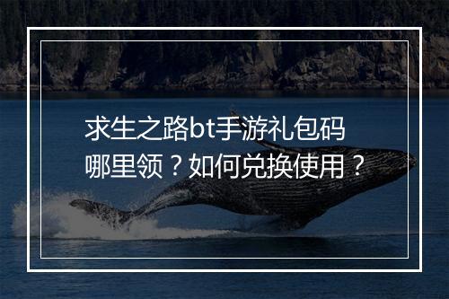 求生之路bt手游礼包码哪里领？如何兑换使用？