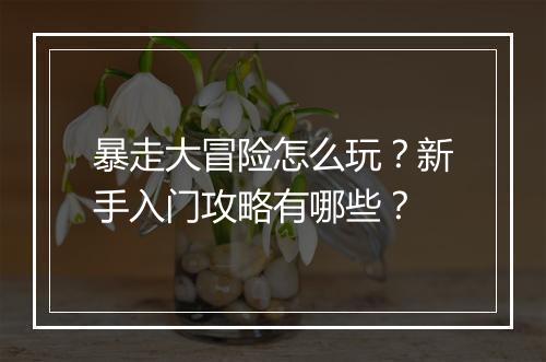 暴走大冒险怎么玩?新手入门攻略有哪些?