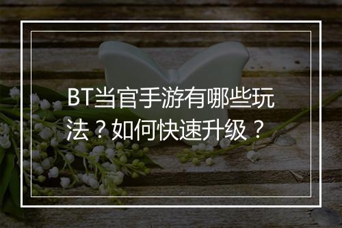 BT当官手游有哪些玩法?如何快速升级?