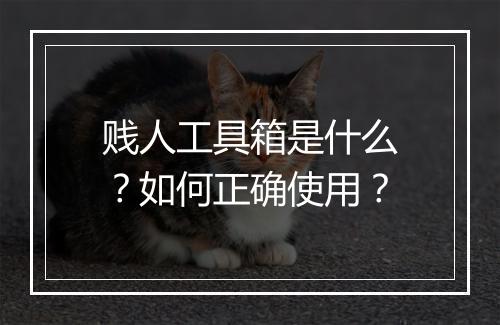 贱人工具箱是什么?如何正确使用?