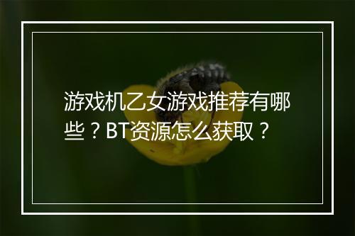 游戏机乙女游戏推荐有哪些?BT资源怎么获取?