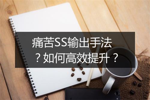 痛苦SS输出手法?如何高效提升?