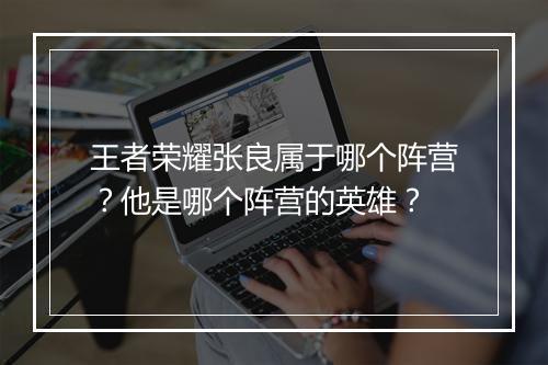 王者荣耀张良属于哪个阵营？他是哪个阵营的英雄？