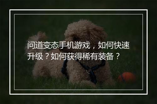 问道变态手机游戏,如何快速升级?如何获得稀有装备?