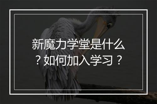 新魔力学堂是什么？如何加入学习？