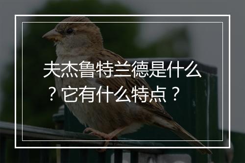 夫杰鲁特兰德是什么?它有什么特点?