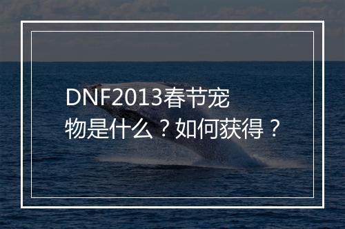 DNF2013春节宠物是什么？如何获得？
