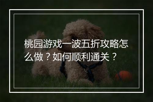 桃园游戏一波五折攻略怎么做?如何顺利通关?
