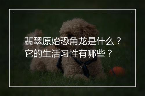 翡翠原始恐角龙是什么?它的生活习性有哪些?