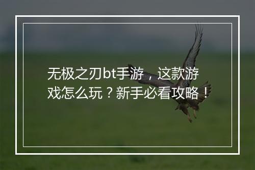 无极之刃bt手游,这款游戏怎么玩?新手必看攻略!
