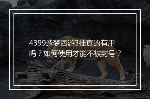 4399造梦西游3挂真的有用吗？如何使用才能不被封号？