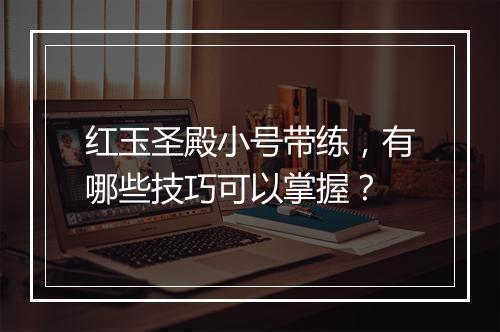 红玉圣殿小号带练,有哪些技巧可以掌握?