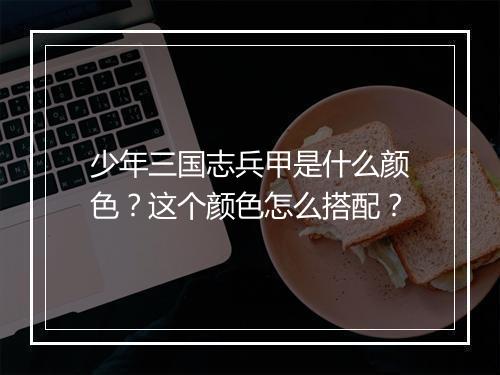 少年三国志兵甲是什么颜色？这个颜色怎么搭配？