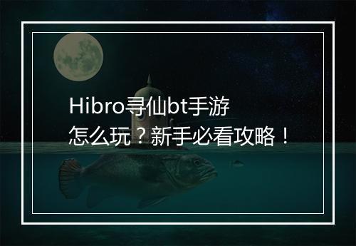 Hibro寻仙bt手游怎么玩?新手必看攻略!