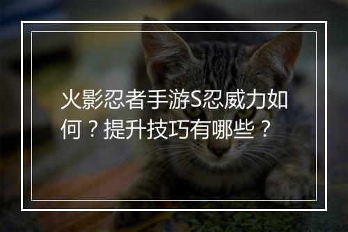 火影忍者手游S忍威力如何？提升技巧有哪些？
