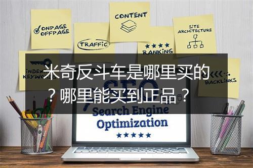 米奇反斗车是哪里买的?哪里能买到正品?