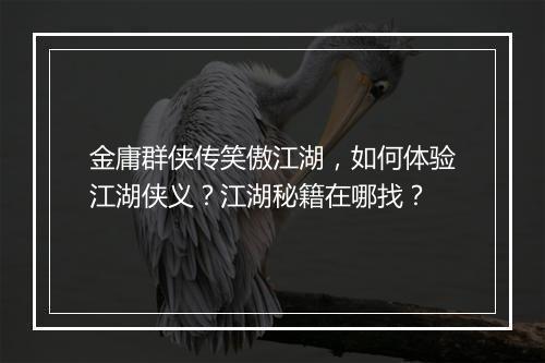 金庸群侠传笑傲江湖,如何体验江湖侠义?江湖秘籍在哪找?