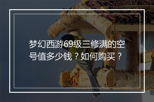 梦幻西游69级三修满的空号值多少钱？如何购买？
