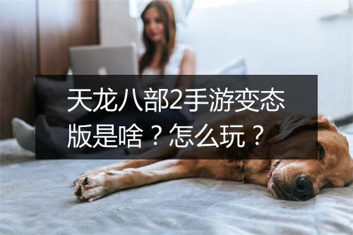 天龙八部2手游变态版是啥？怎么玩？