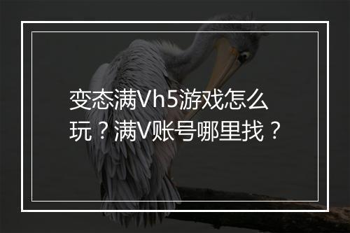 变态满Vh5游戏怎么玩?满V账号哪里找?