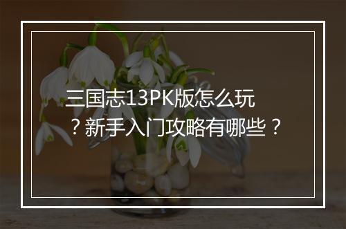 三国志13PK版怎么玩?新手入门攻略有哪些?