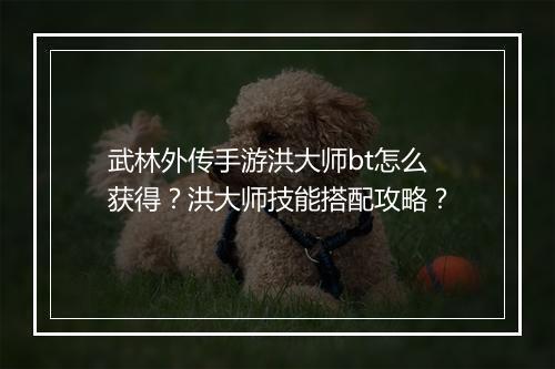 武林外传手游洪大师bt怎么获得?洪大师技能搭配攻略?