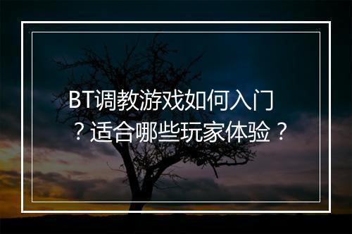 BT调教游戏如何入门?适合哪些玩家体验?