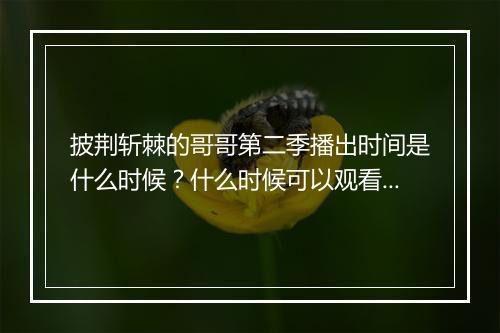 披荆斩棘的哥哥第二季播出时间是什么时候?什么时候可以观看?
