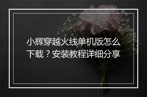 小辉穿越火线单机版怎么下载?安装教程详细分享