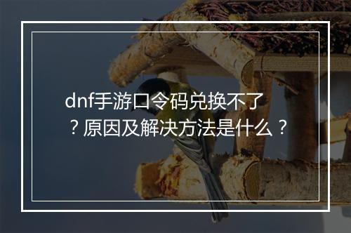 dnf手游口令码兑换不了？原因及解决方法是什么？