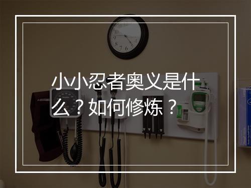 小小忍者奥义是什么?如何修炼?