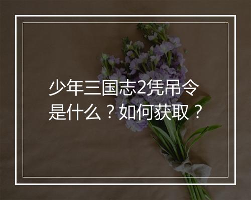 少年三国志2凭吊令是什么？如何获取？