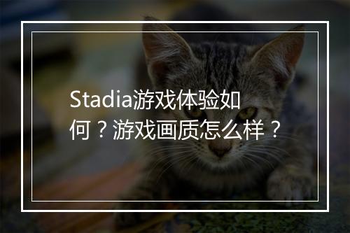Stadia游戏体验如何?游戏画质怎么样?