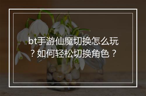 bt手游仙魔切换怎么玩?如何轻松切换角色?