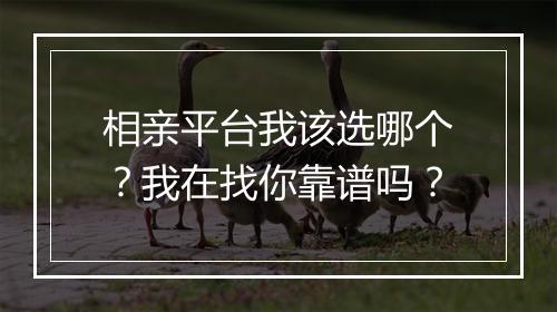 相亲平台我该选哪个?我在找你靠谱吗?